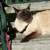 Ashby in the Garden Ashby in the Garden